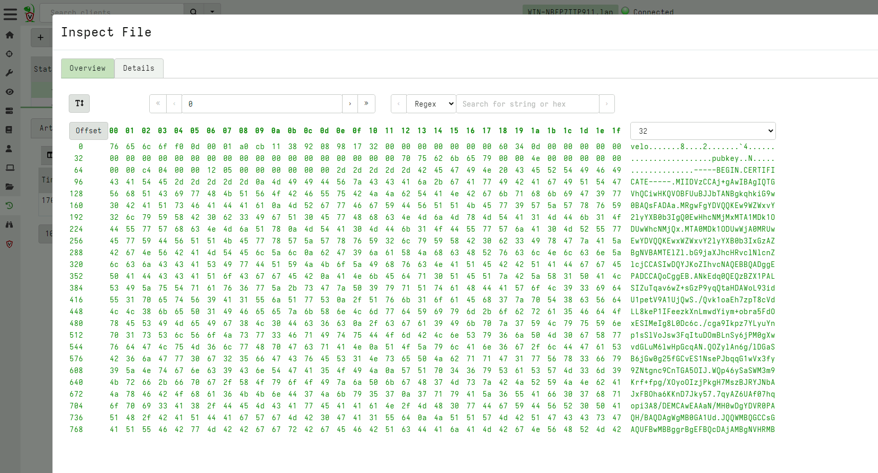 Inspecting the uploaded encrypted local file