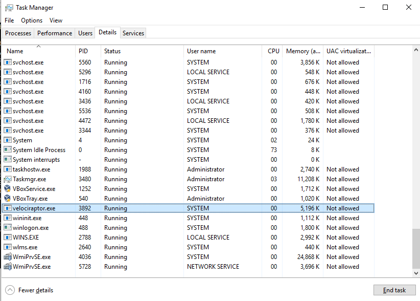 Task manager output
