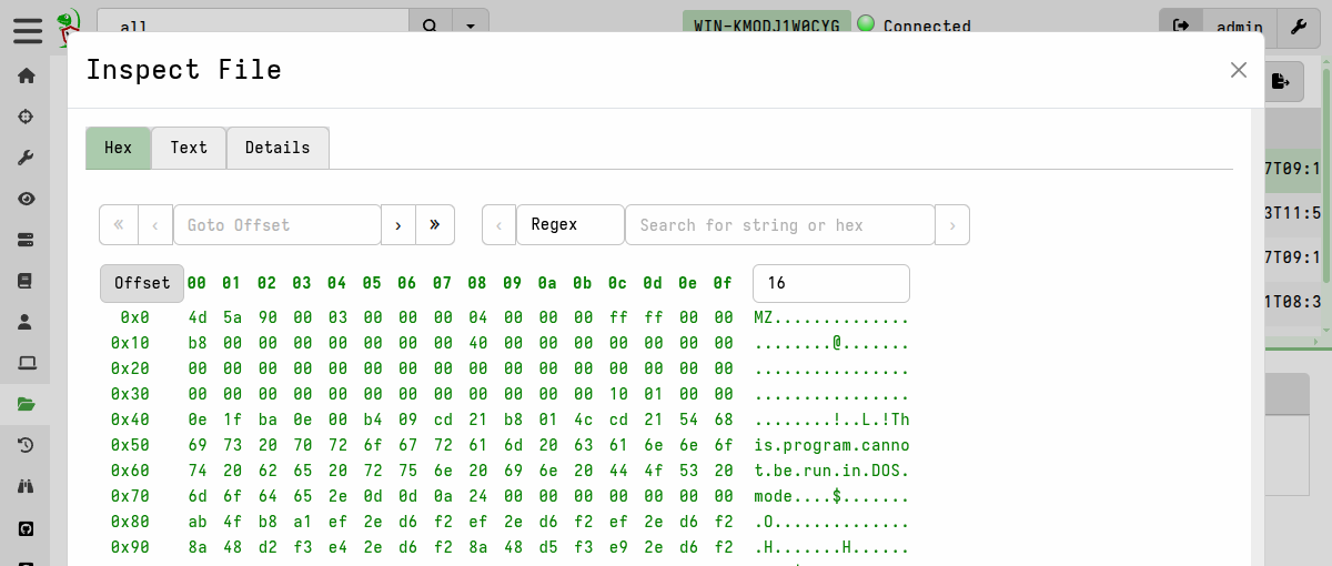 Inspecting a file