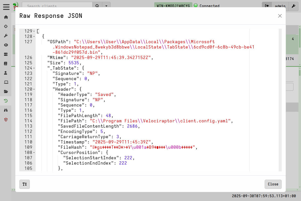 Raw JSON viewer